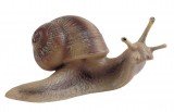 Bullyland Waldtiere: Bullyland Weinbergschnecke 64375