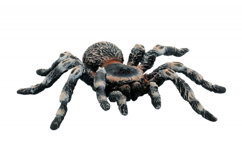 Bullyland White kneed Spider 68457
