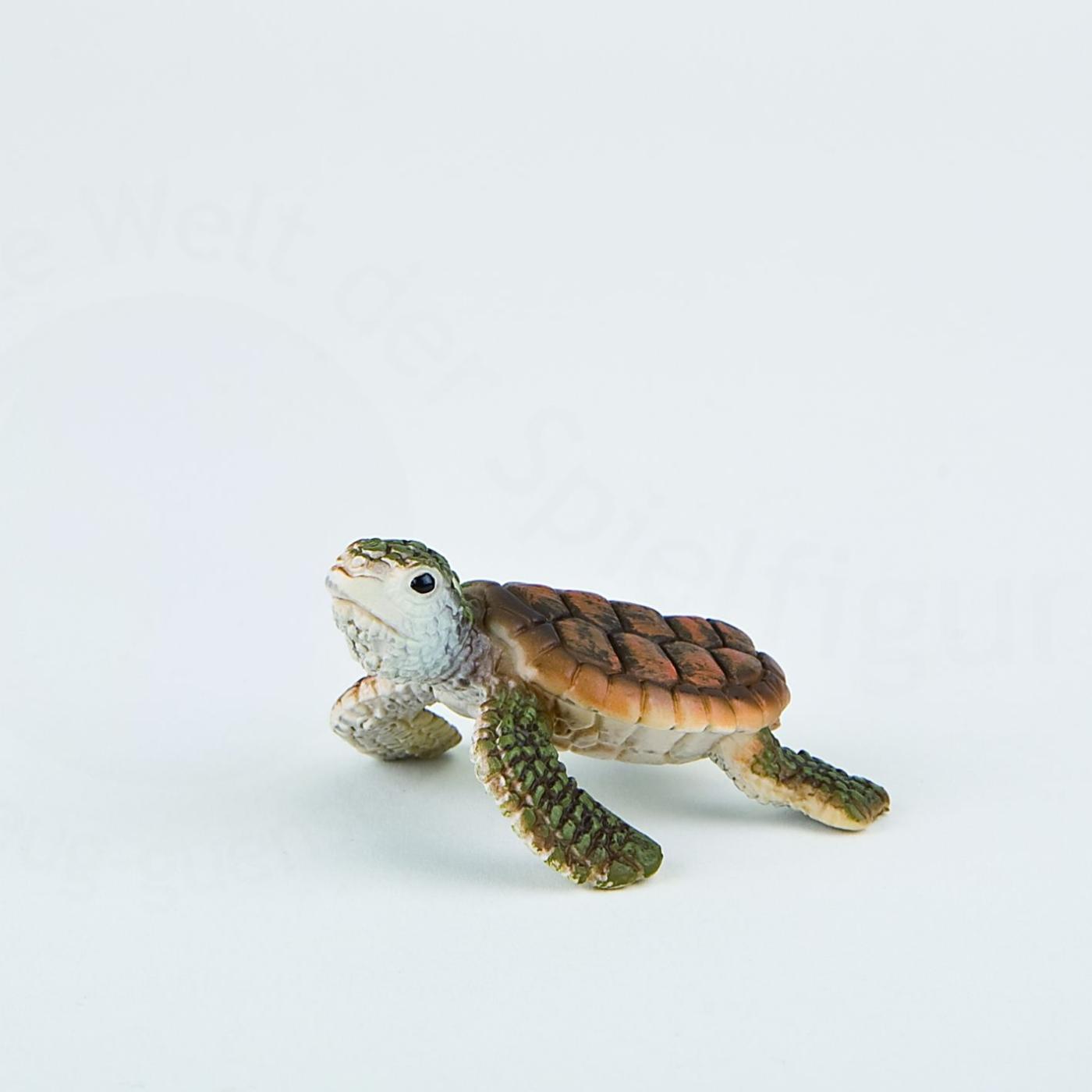 sea turtle figures