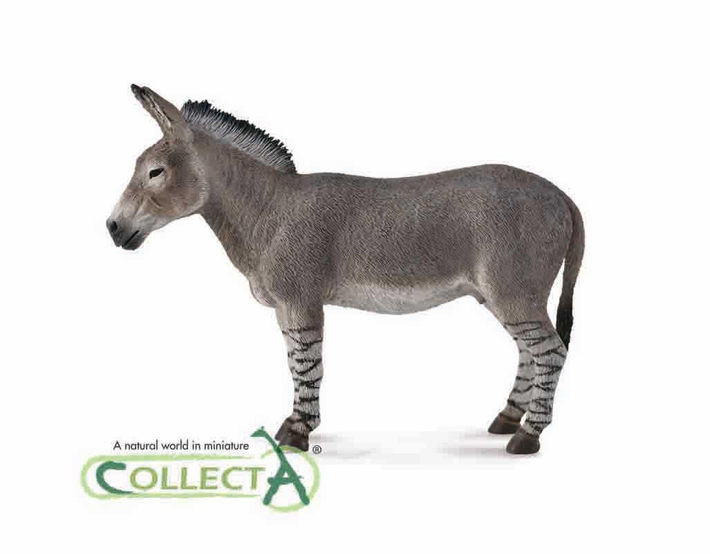 CollectA Afrikanischer Esel 88664