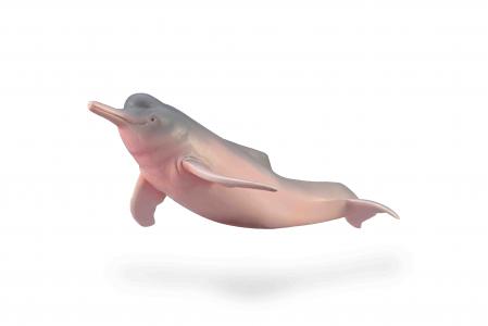CollectA Meerestiere: CollectA Amazonasdelfin 88994