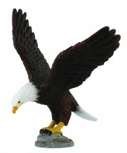 CollectA 88383 Bald Eagle - animal figures at spielzeug-guenstig.de