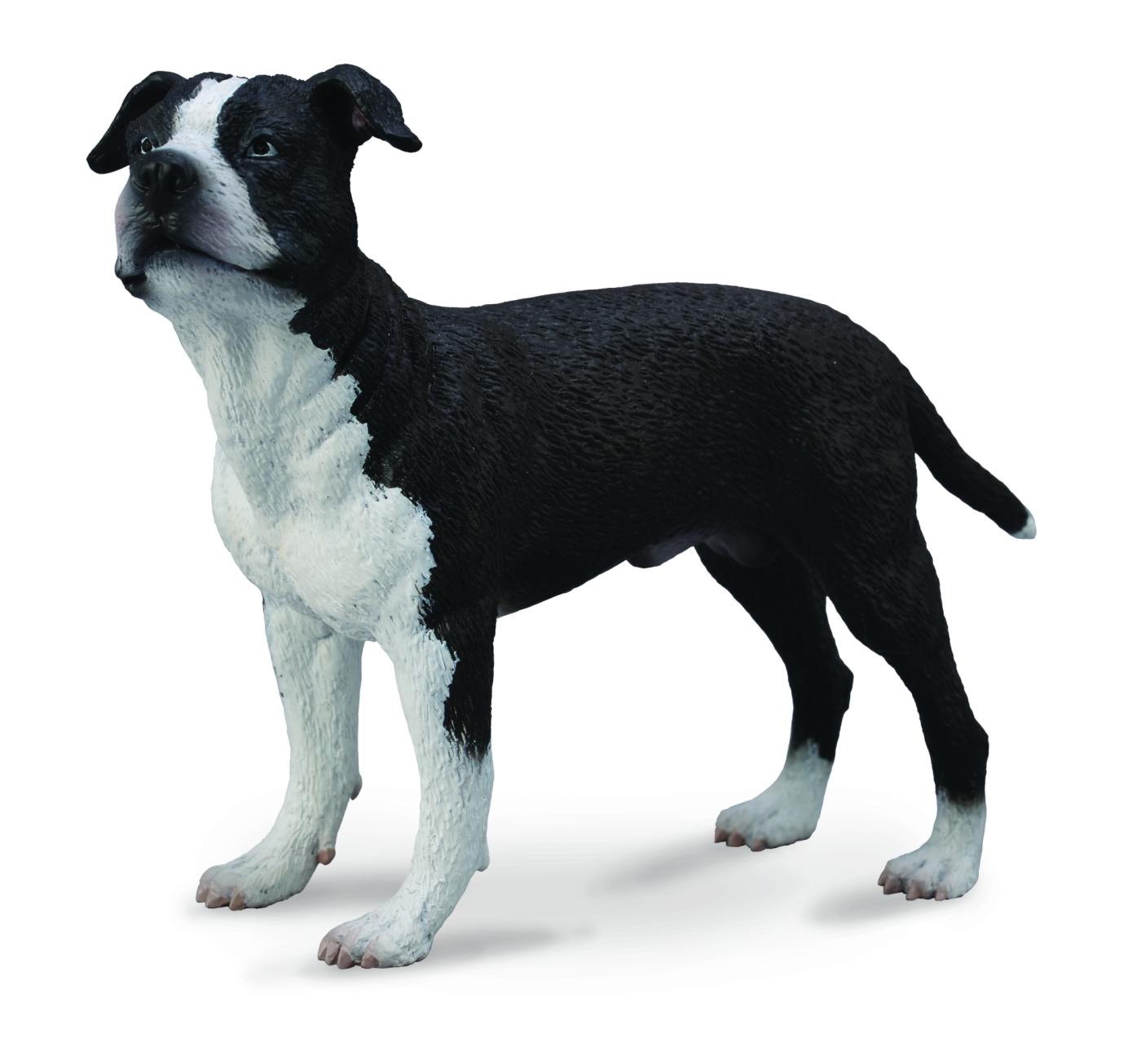 CollectA American Staffordshire Terrier 88610 ca.9.5x4x7cm