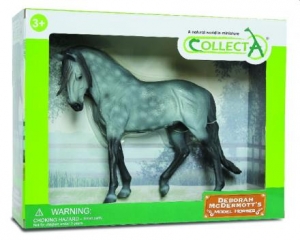 CollectA 89555 Andalusier Hengst Dark Dapple Grey 1:12 bei spielzeug-guenstig.de
