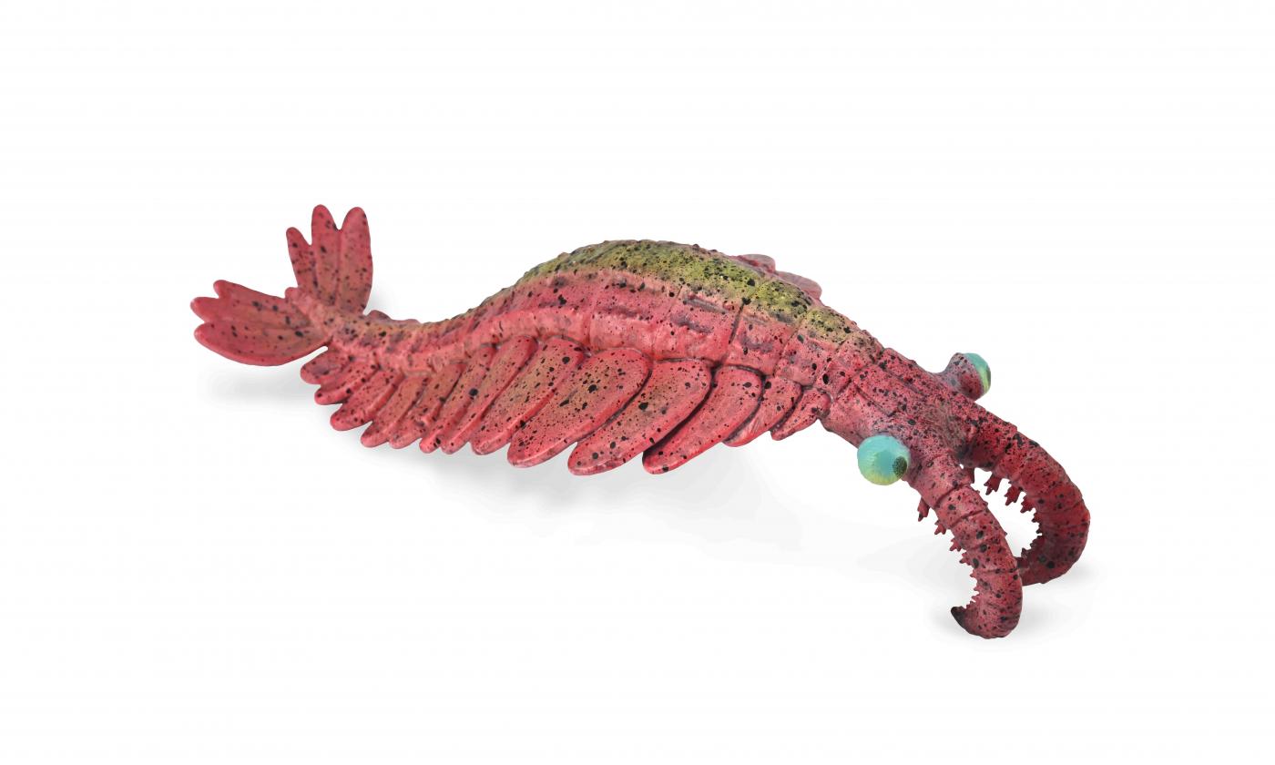 CollectA Anomalocaris 88977