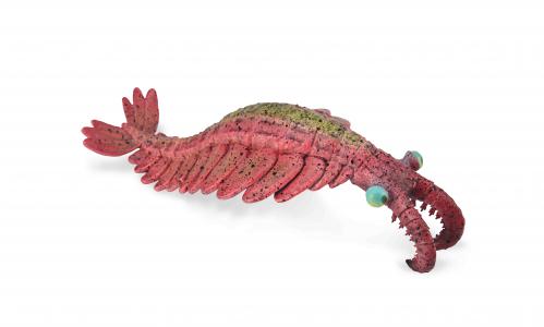CollectA Urzeit: CollectA Anomalocaris 88977