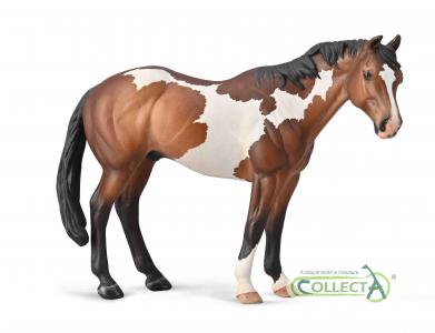 CollectA Pferde: CollectA Appaloosa-Hengst Bay Overo Paint� 88956
