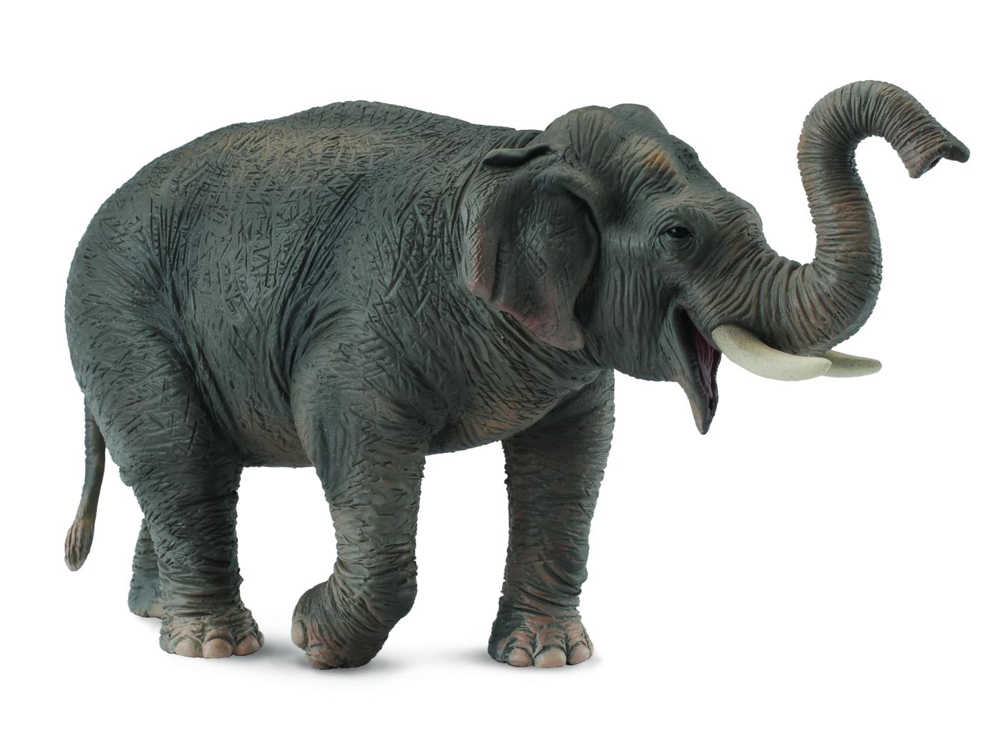 CollectA Asian Elephant 88486 approx.15x8,5cm