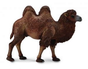 CollectA Wildlife: CollectA Bactrian camel 88807