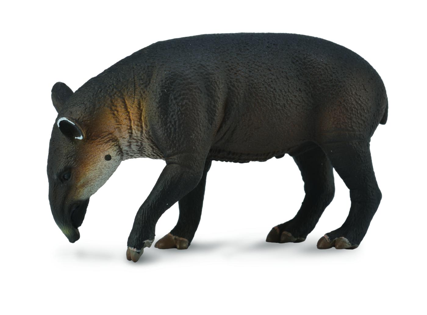 CollectA 88596 Central American tapir - animal figures at CollectA 88596 Central American tapir - animal figures at