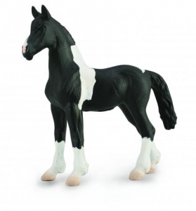 CollectA Horses: CollectA Barock Pinto Foal 88893