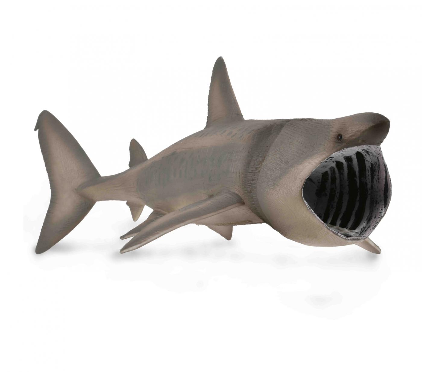 CollectA Basking Shark 88914
