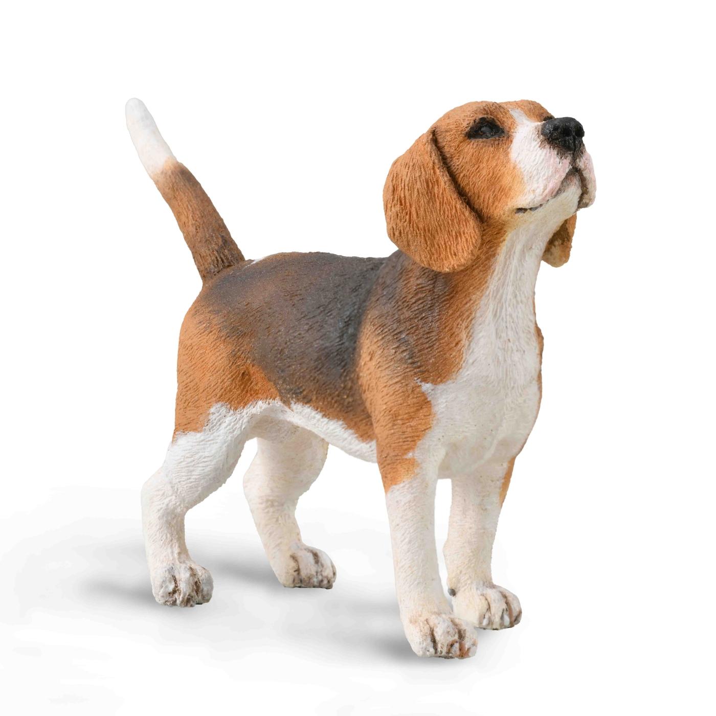 CollectA Dogs Figurines CollectA Beagle dog 88935