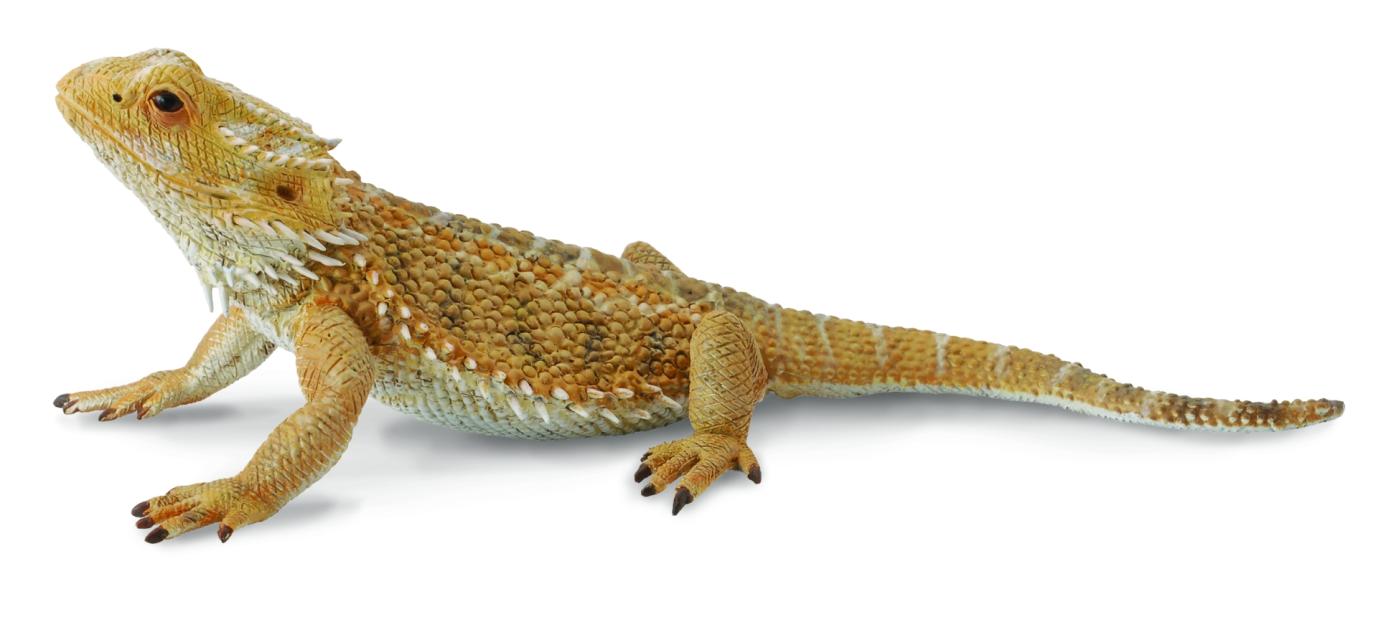 schleich lizard