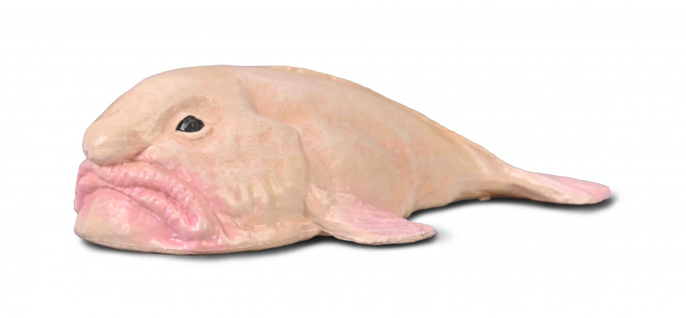 CollectA Blobfish 80037