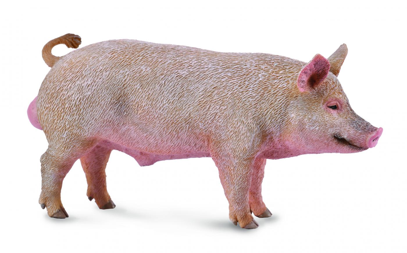 CollectA Boar 88864