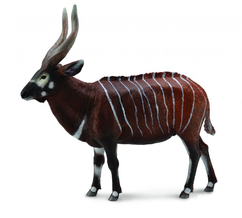 CollectA Bongo 88809