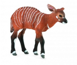 CollectA Wilde Tiere: CollectA Bongo Kalb 88823