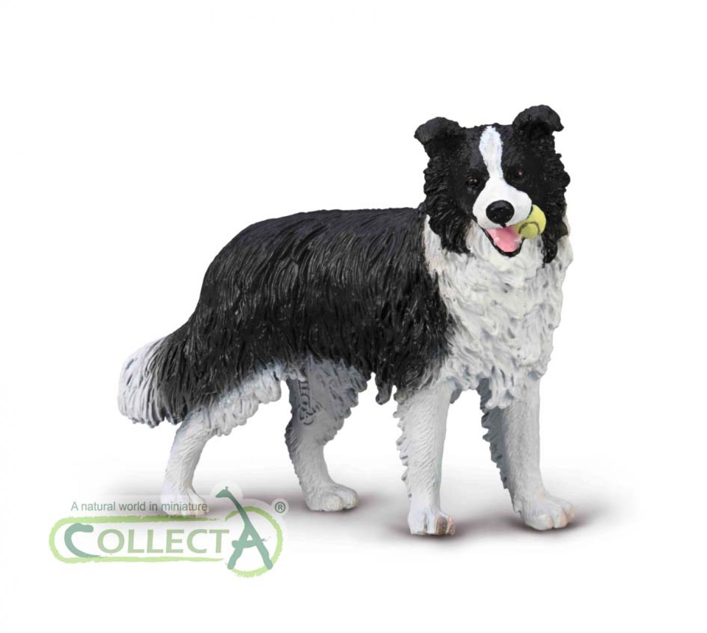 CollectA Border collie 80012