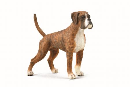 CollectA Dogs Figurines: CollectA Boxer dog 88936