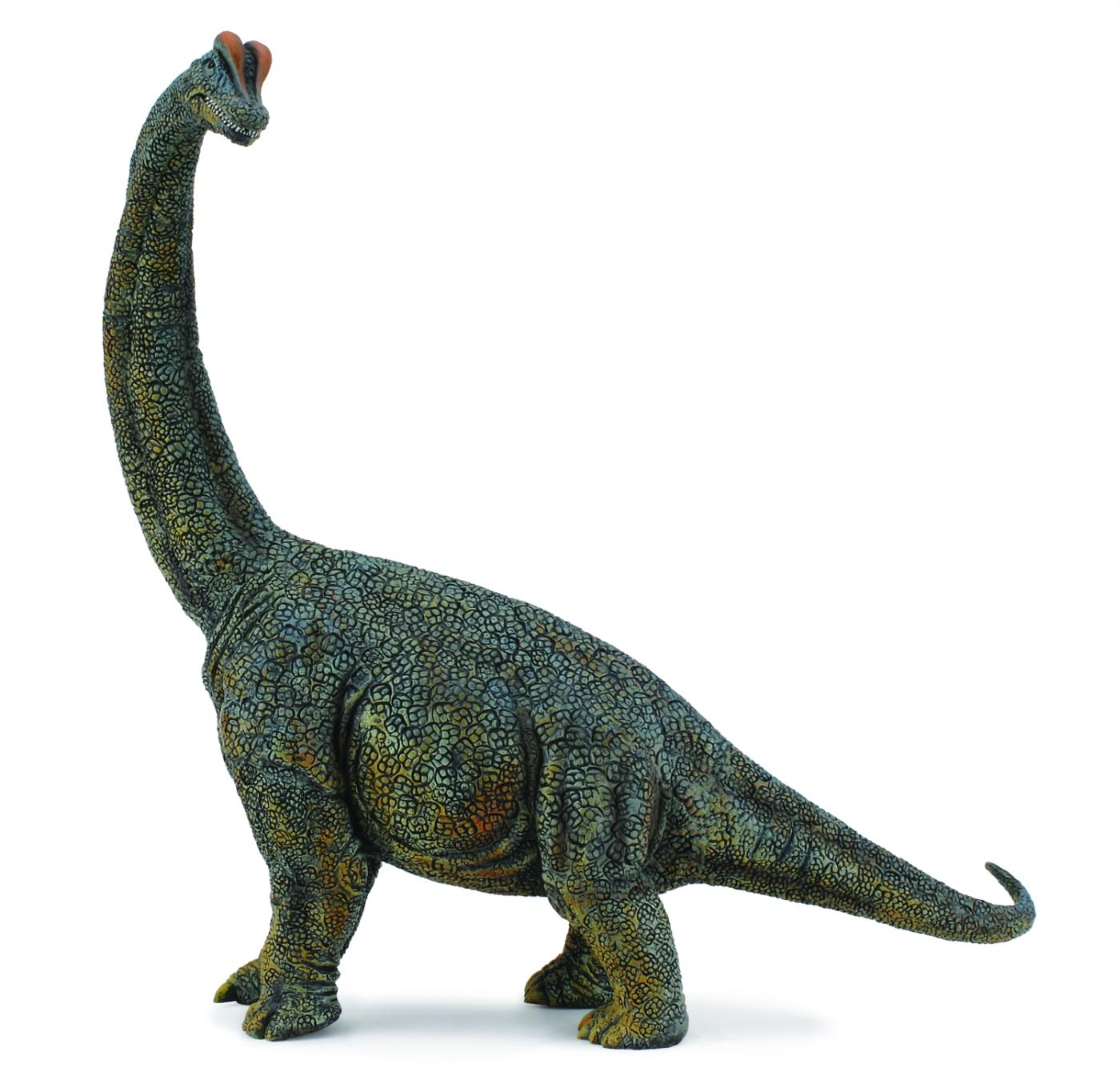 CollectA Brachiosaurus -Deluxe 1:40 Scale 88405 approx.27,5x28,5cm