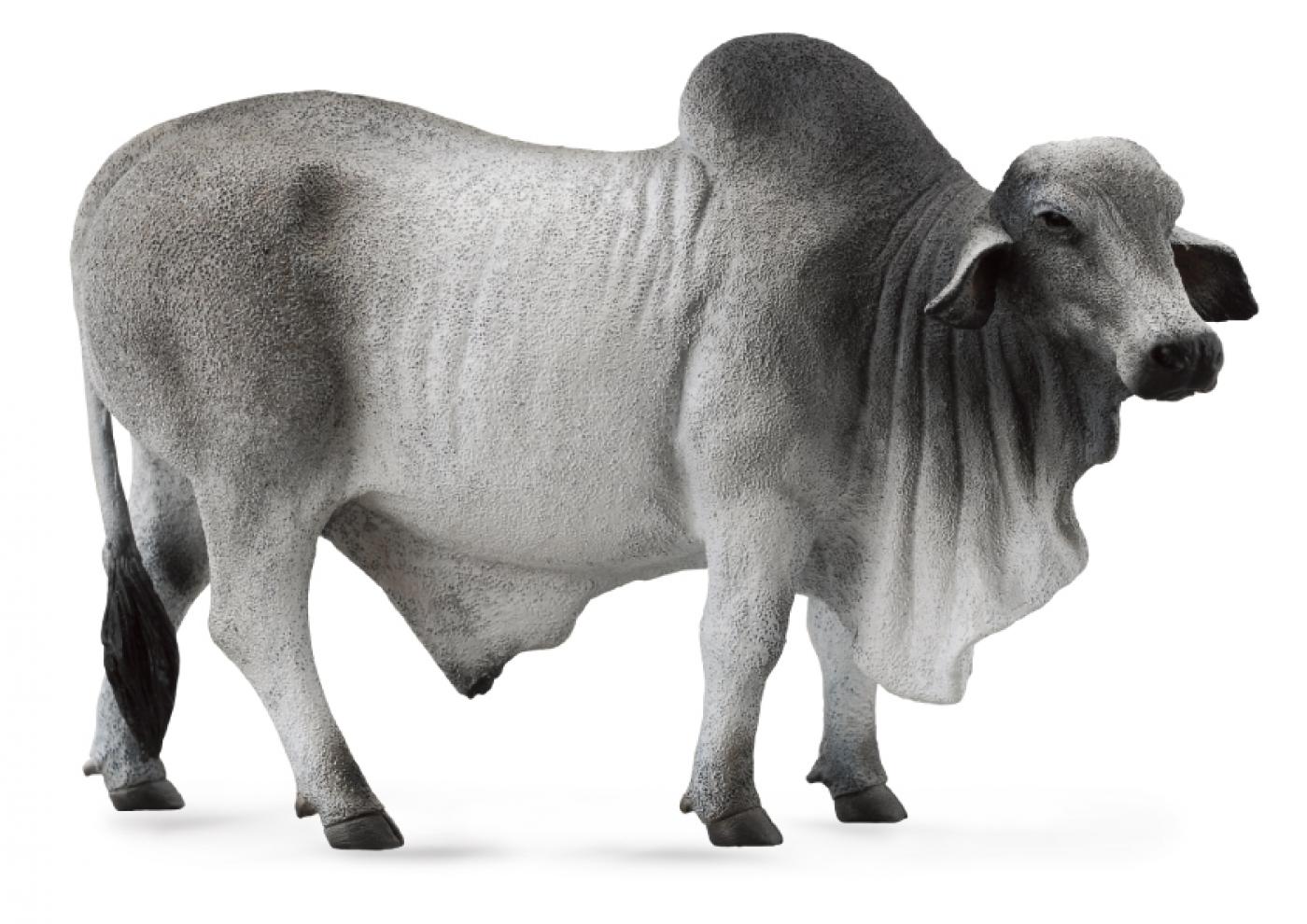CollectA Brahman Bulle 88579 ca.13.5x5.5x8.5cm