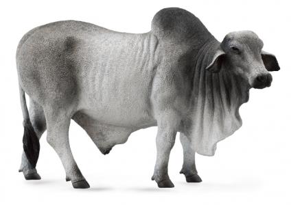 CollectA 88579 Brahman Bulle - Tierfiguren - Figuren bei spielzeug-guenstig.de