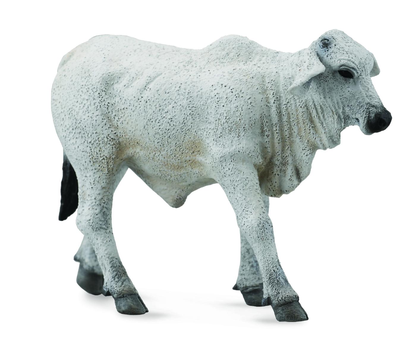CollectA Brahman Kalb 88581 ca.7.2x2.5x5cm