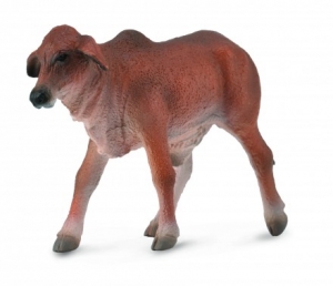 CollectA 88601 Brahman Kalb rot - Tierfiguren bei spielzeug-guenstig.de