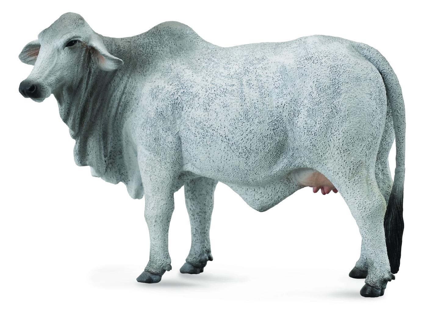 CollectA Brahman Kuh 88580 ca.14.5x5x8cm