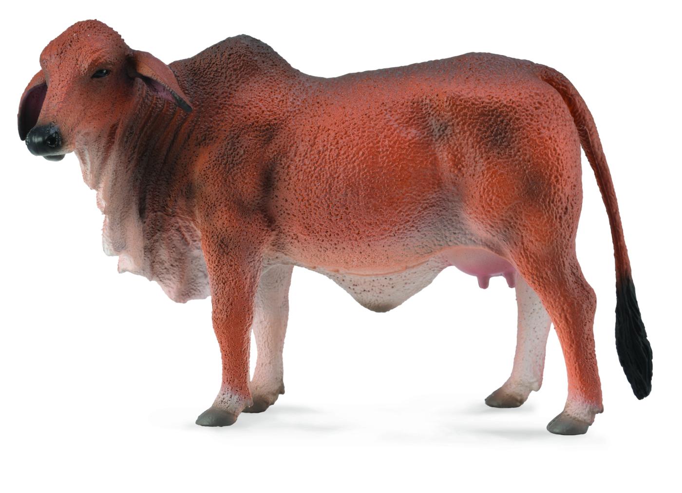 CollectA Brahman Kuh rot 88600 ca.12x5.5x8.5cm