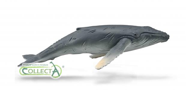 CollectA Meerestiere: CollectA Buckelwal-Kalb 88963