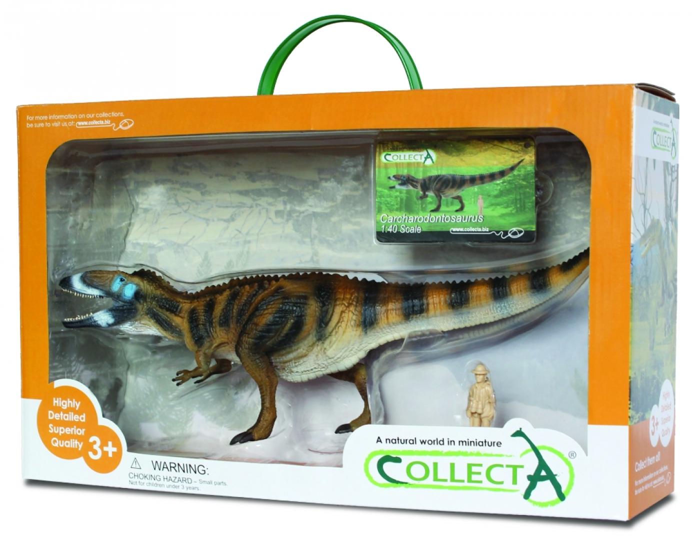 CollectA CARCHARODONTOSAURUS in Fensterverpackung 89639