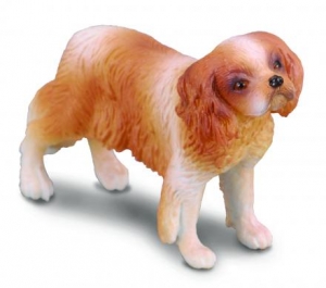 CollectA 88181 Cavalier King Charles Spaniel - Tierfiguren