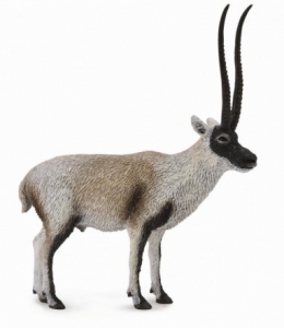 CollectA Chiru 88721 Wilde Tiere