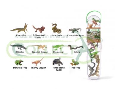 CollectA Wild Life Collection: CollectA CollectA Box of Mini Reptiles & Amphibians A1194