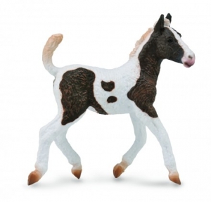 CollectA Pferde: CollectA Curly Fohlen 88781