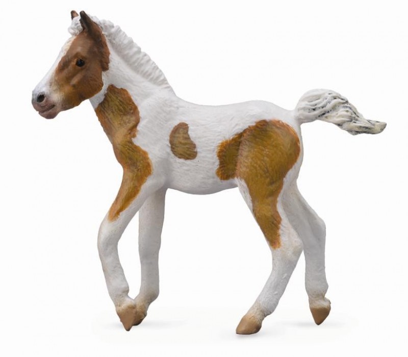 CollectA Dartmoor Fohlen Hill - Skewbald 88735