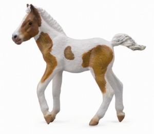 CollectA Dartmoor Fohlen Hill - Skewbald 88735 Pferde