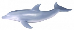 CollectA 88042 Delfin - Tierfiguren - Figuren bei spielzeug-guenstig.de