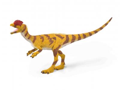 CollectA Urzeit Deluxe Ma�stab: CollectA Dilophosaurus 88923