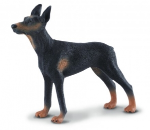 CollectA 88086 Doberman Pinscher - Tierfiguren bei spielzeug-guenstig.de