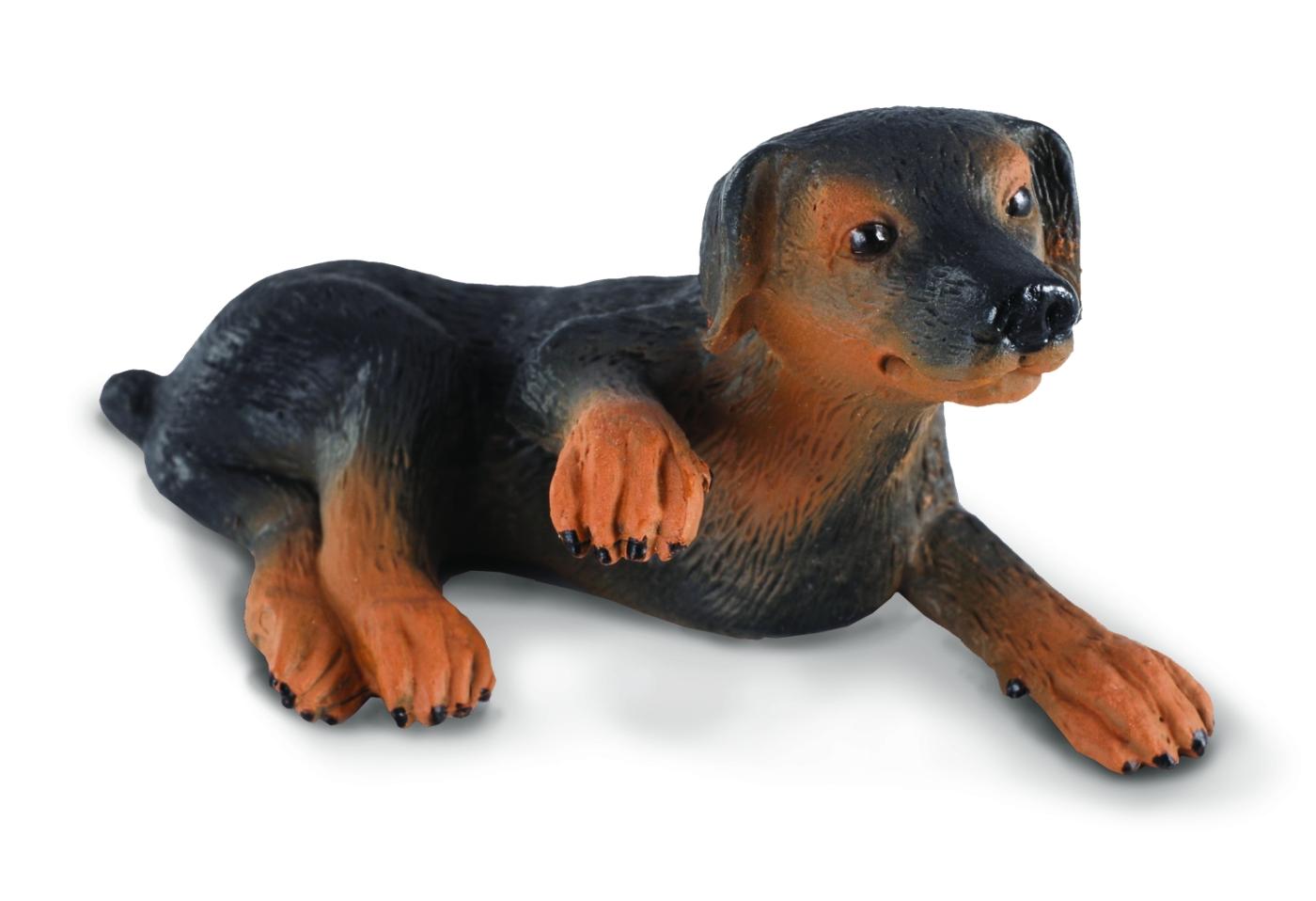 CollectA Dobermann-Welpe 88087 ca.6x3cm