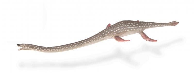 CollectA Urzeit: CollectA Elasmosaurus 88922