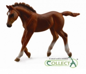 CollectA 88670 Englisches Vollblut - Chestnut bei spielzeug-guenstig.de