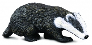 CollectA 88015 Eurasischer Dachs - Tierfiguren bei spielzeug-guenstig.de