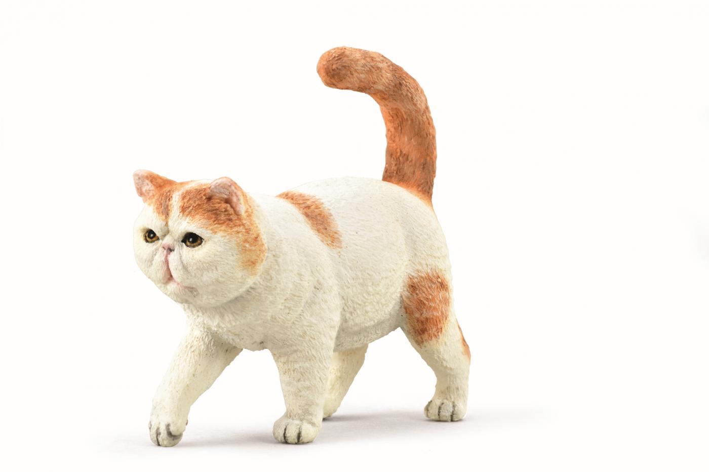 Collecta Cats Figurines Collecta Exotic Shorthair 7