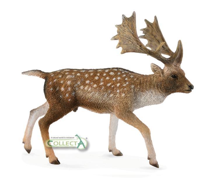 CollectA Fallow Deer Male 88685