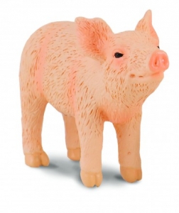 CollectA 88344 Ferkel riechend - Tierfiguren bei spielzeug-guenstig.de