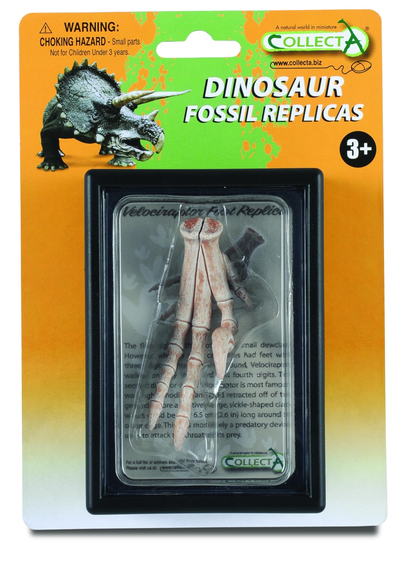 CollectA Foot Replica of Velociraptor Box Set